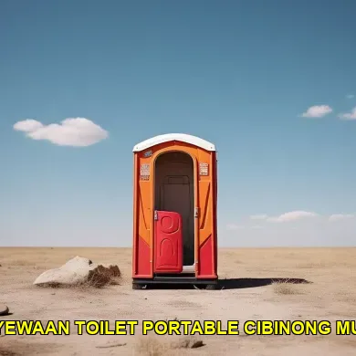 penyewaan toilet portable cibinong murah